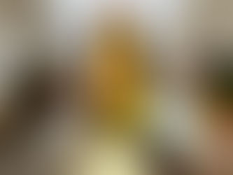 Light Journeys on Balboa Island