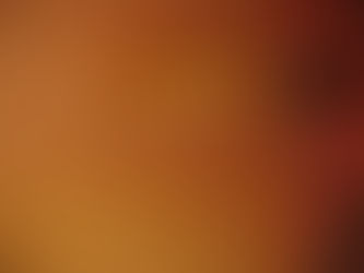 6 Months of Liiightspace!