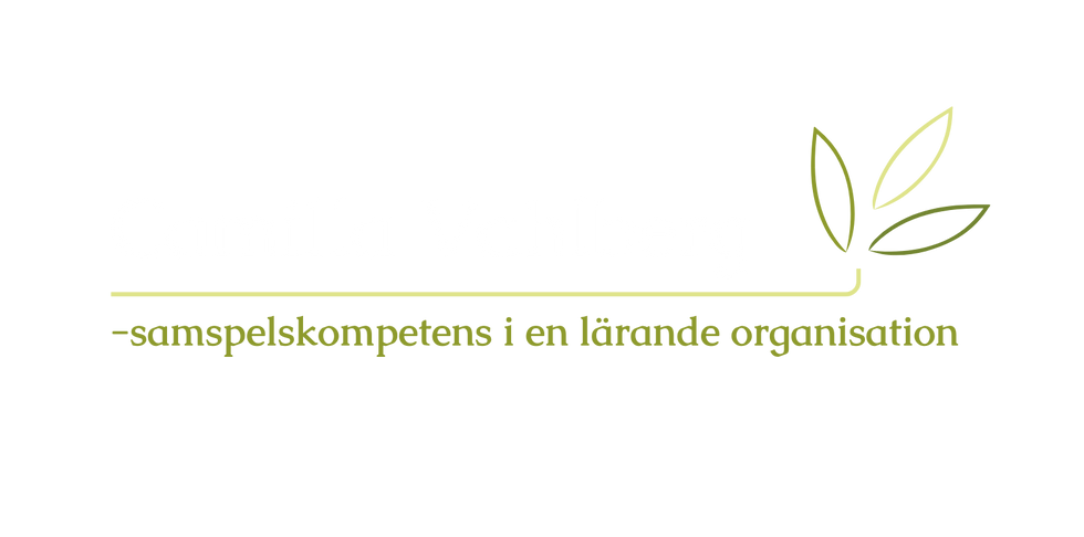 Logga Camilla Vahlberg – samspelskompetens i enlärande organisation