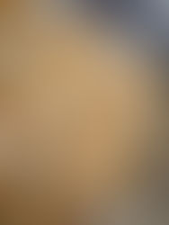 מאפינס פטל טבעוני