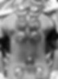 IMG_9588.jpeg
