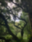 IMG_7458.jpeg