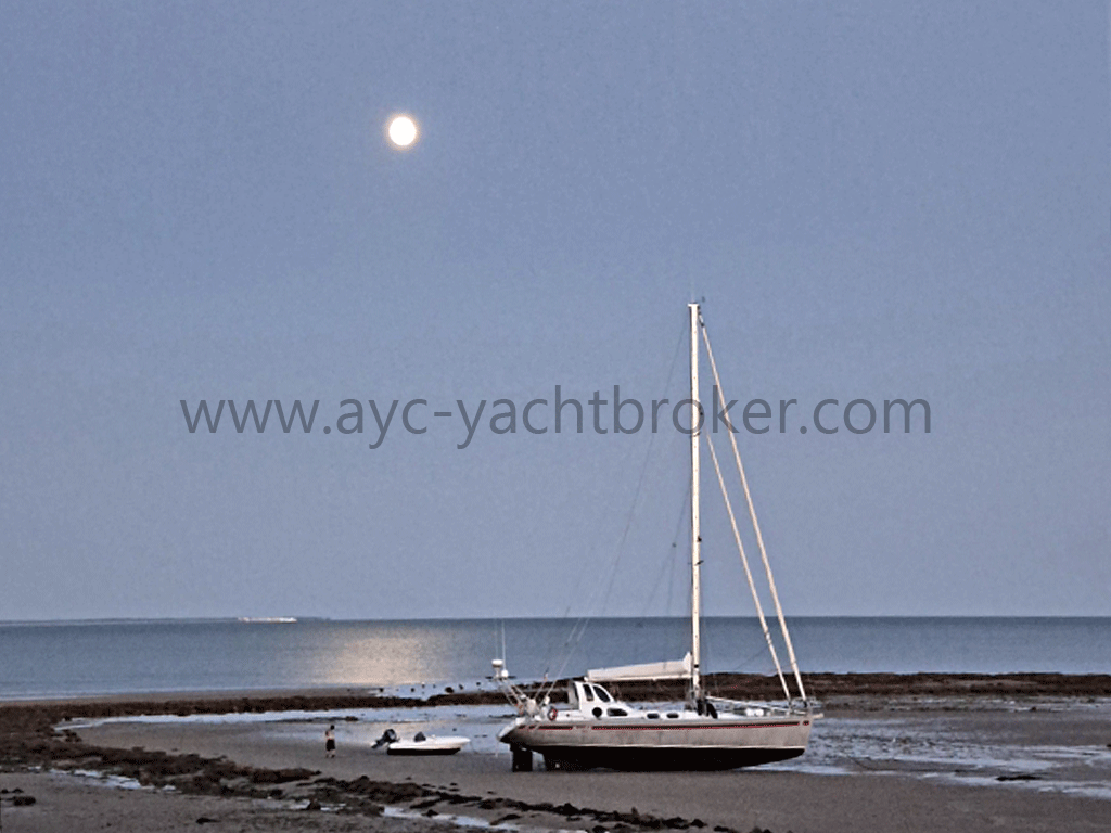 AdventureYachtClub-Patago45-001.gif