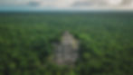 Aerial view of the pyramid, Calakmul, Campeche, Mexico. Ruins of the ancient Mayan city of