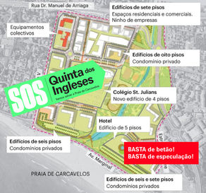 CMC extingue consulta pública por motivos ambientais