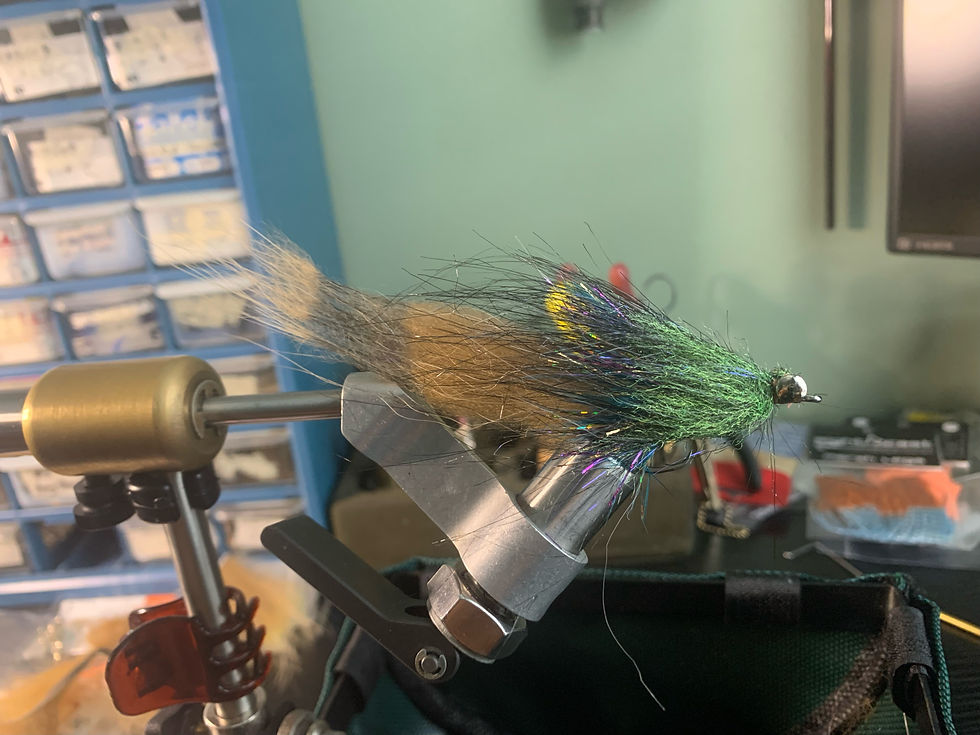 Bonnet Blue is a fantastic fly for Bonnethead Sharks in Charleston SC