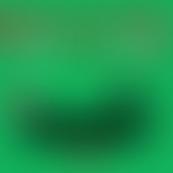 Guides to a Gift- Blackwater Revival Guide Service