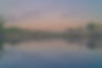 _DSC0923_edited.jpg