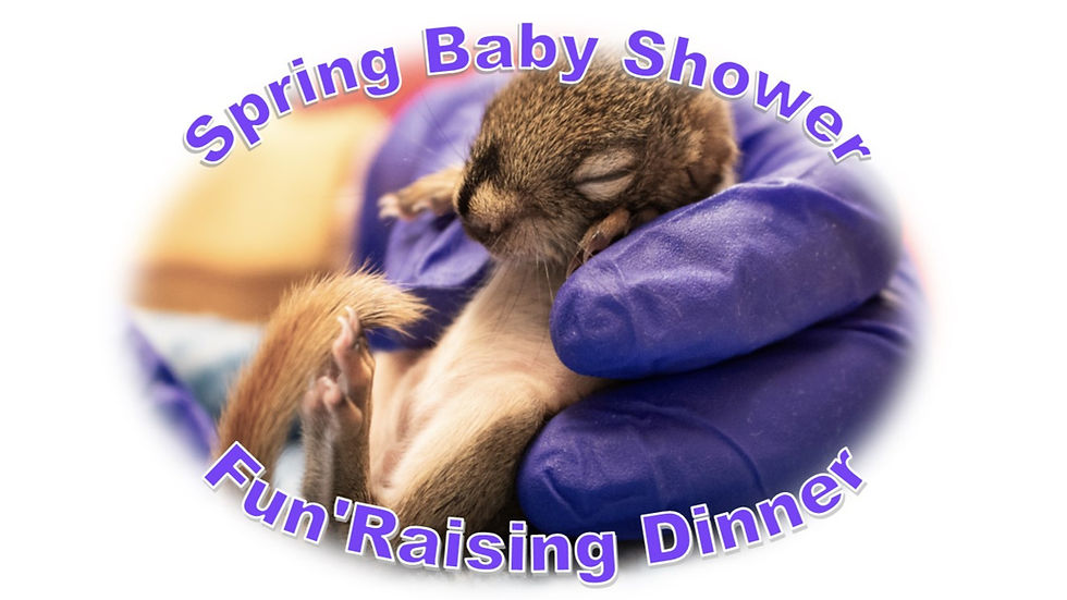 Spring Baby Shower Fun'Raising Dinner