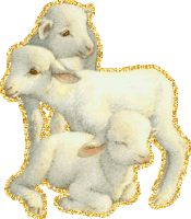 lamb-sparkly.gif