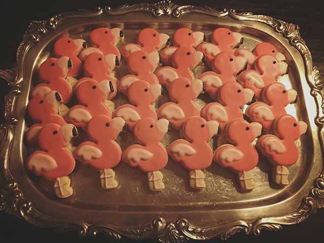 Flamingos