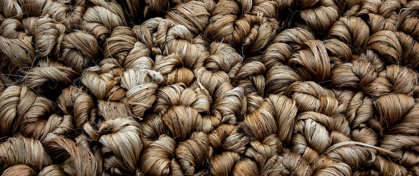 WhatsApp Image 2025-08-12 at 8.10.49 PM.jpeg.jpg