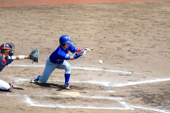 福岡大学野球部　ユニフォーム(練習着) 福岡大学野球部 ユニフォーム(練習着) 通販スポーツ - 福岡大学