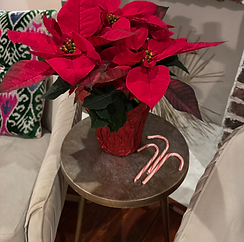 Custom Christmas installation for out-of-town client celebrating the holidays in Charleston