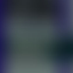 А.А. Романчук Миф Чарльза Гальперина: несколько слов в связи с выходом книги «The Rise and Demise...