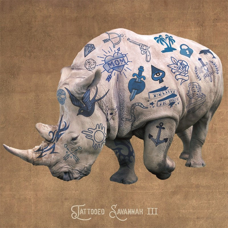 Tavla Tattoo Rhino 100X100 cm