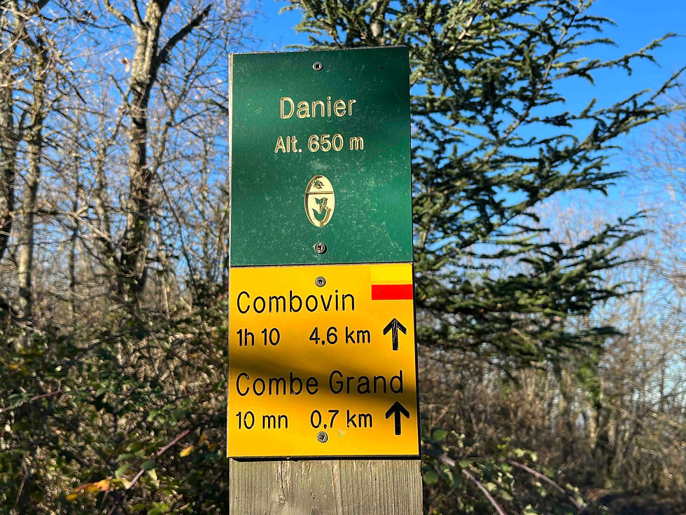 311-Le Danier