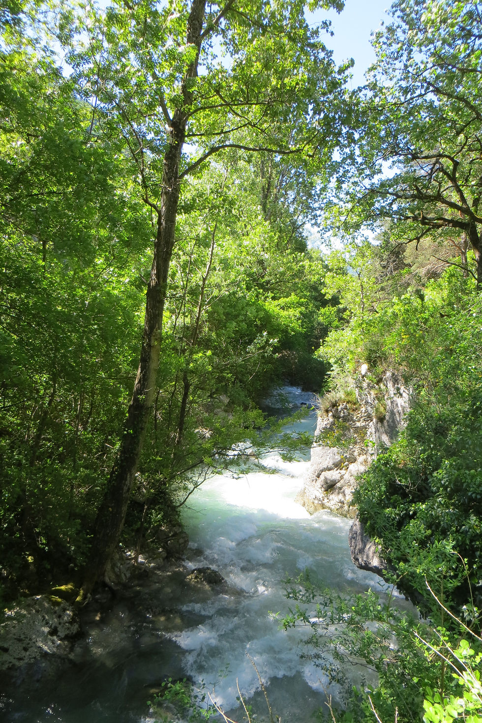 Villard 3