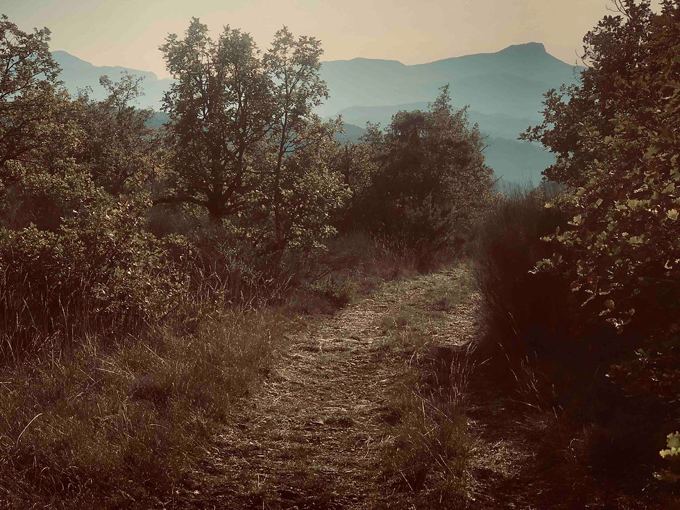 311-Descente à contre jour