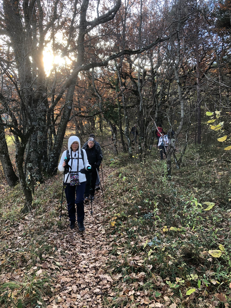 13 Descente vers Gigors