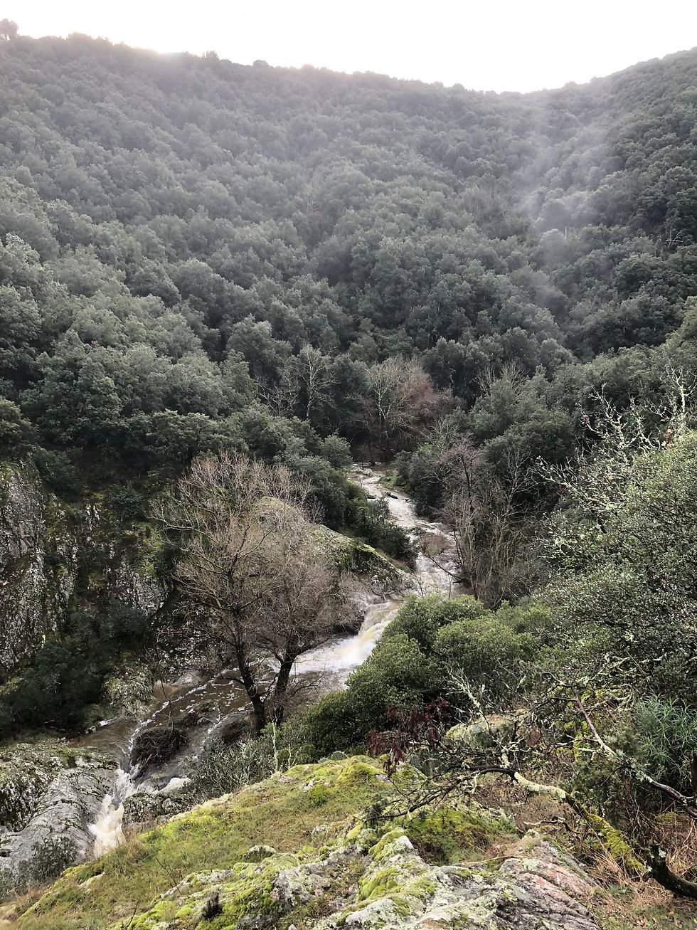 06 Le Jergne ... avant les orages