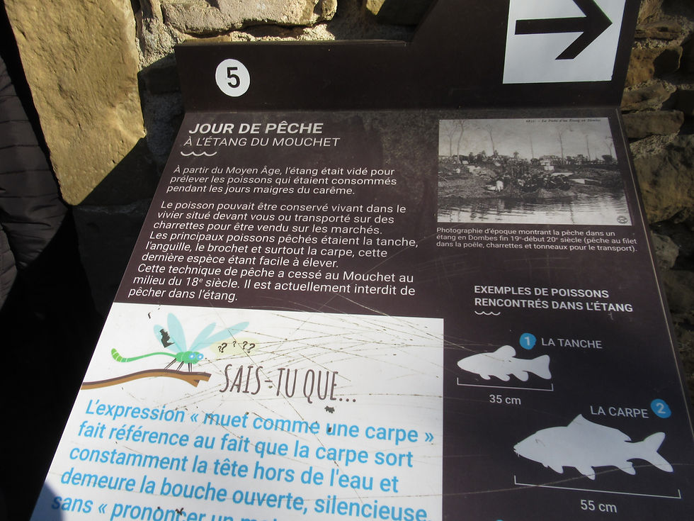 4A 03 panneau explicatif