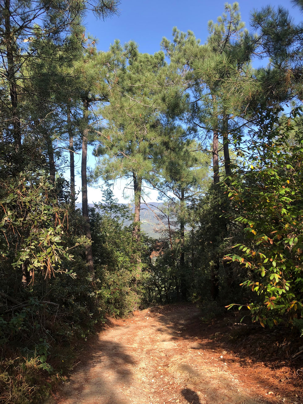 04 La descente vers l'Eyrieux
