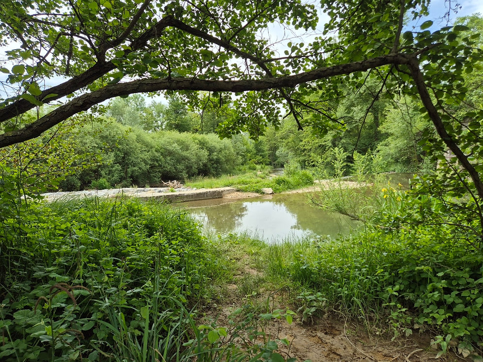 C12L'Herbasse après le Pont