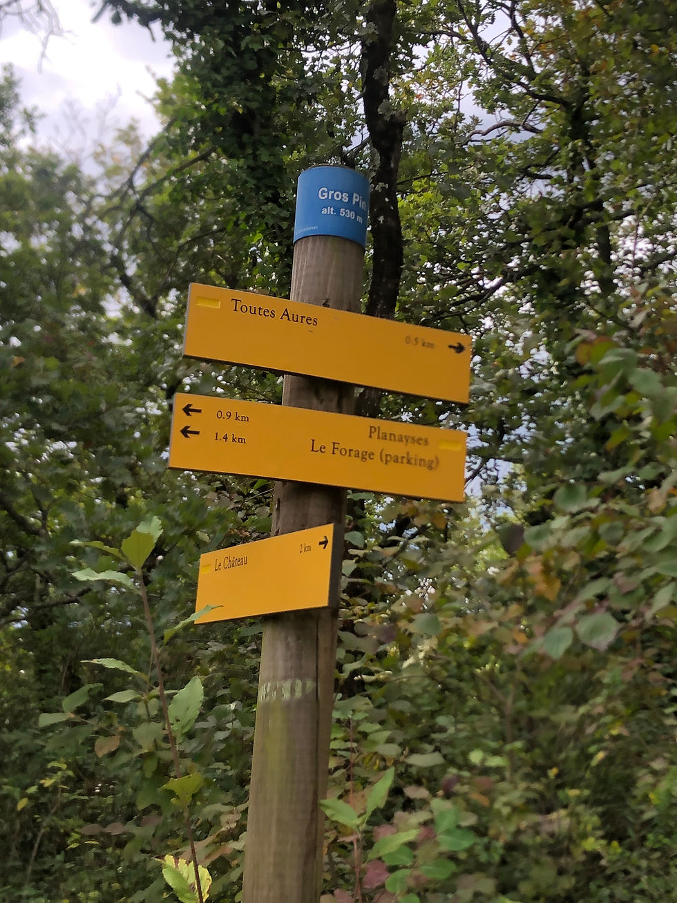 12 Descente du Serre des Planayses