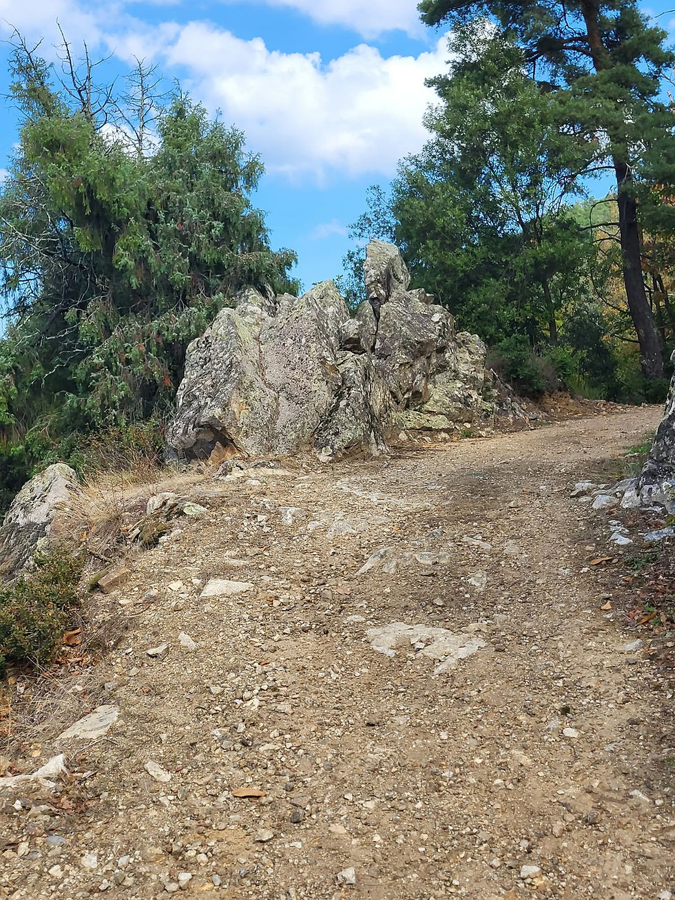 130 Chemin vers le Doux