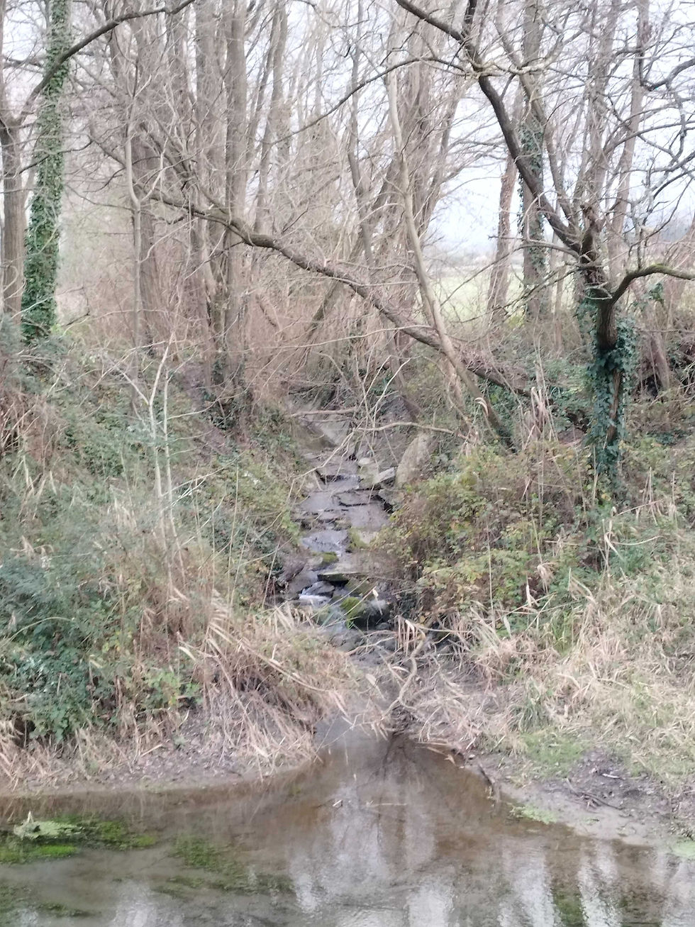 7. Affluent du Petit Rhône