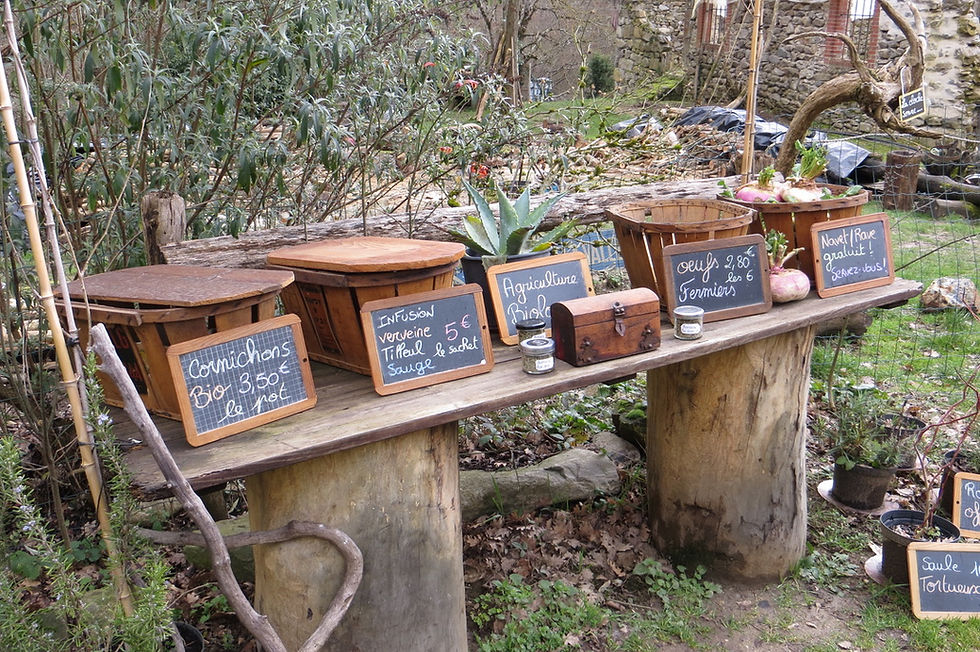 209 Arras sur Rhône