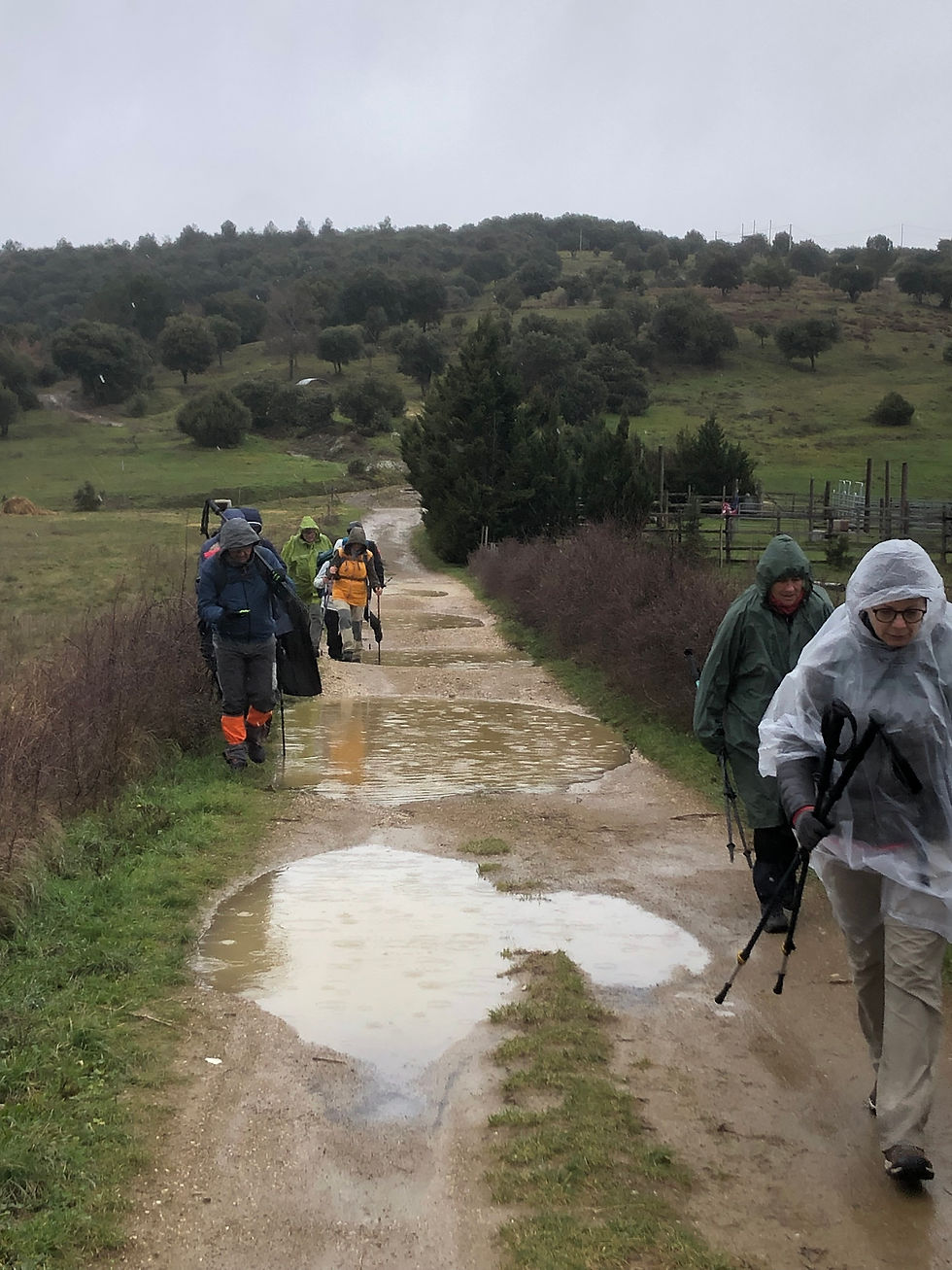 12 Pluie sur le chemin du retour