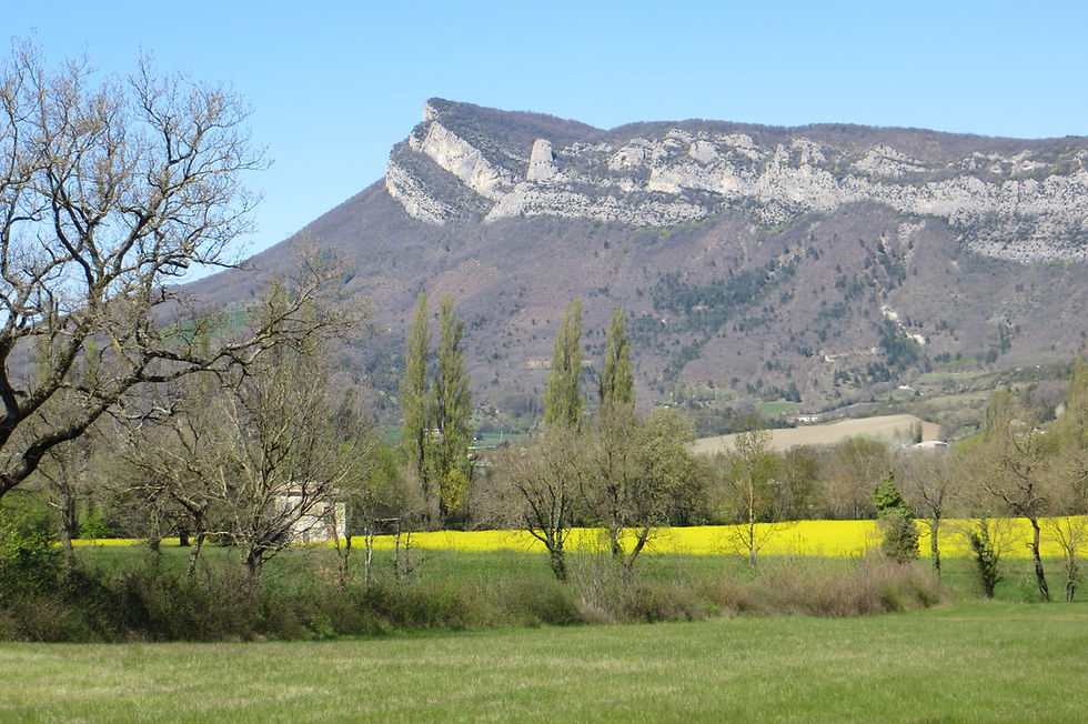 775D17F7-5150-46FA-92BD-25DE5153204B_1_105_c