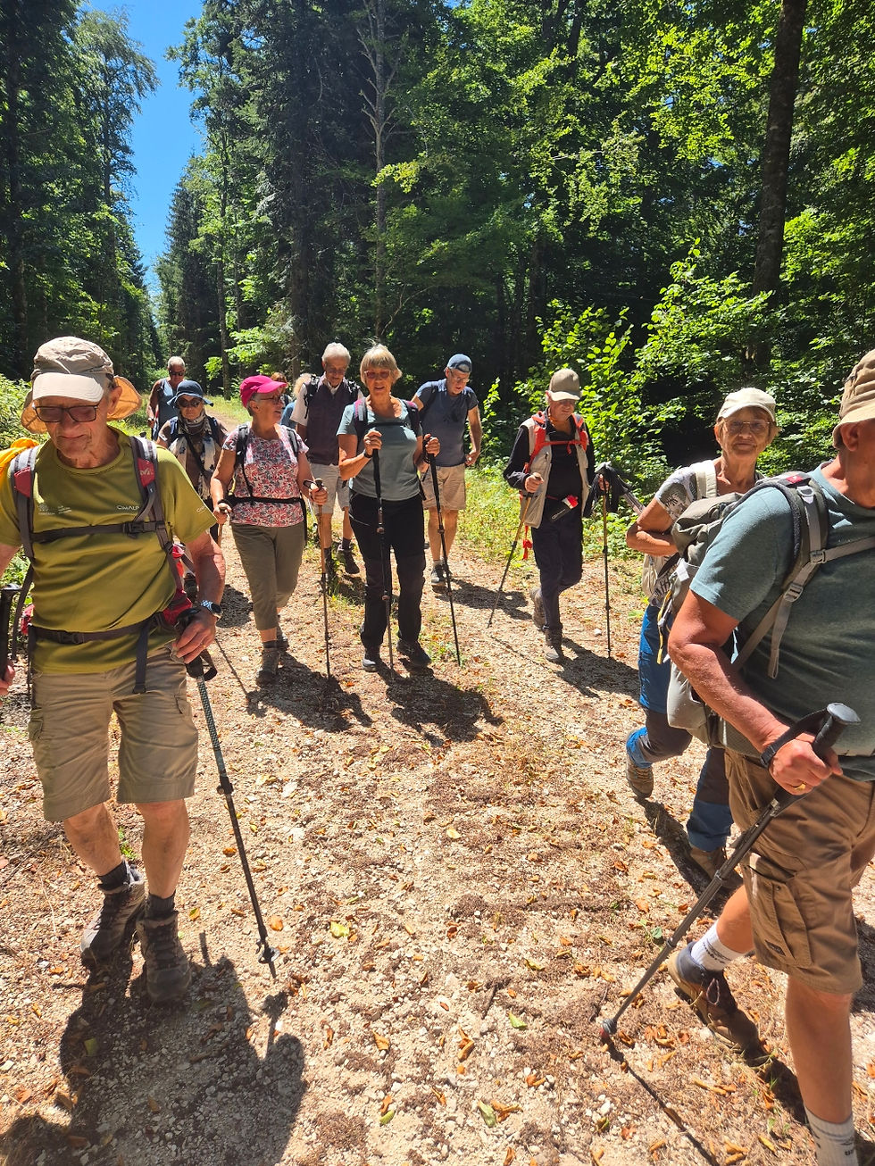 06 sur la route forestière de la grosse sapine