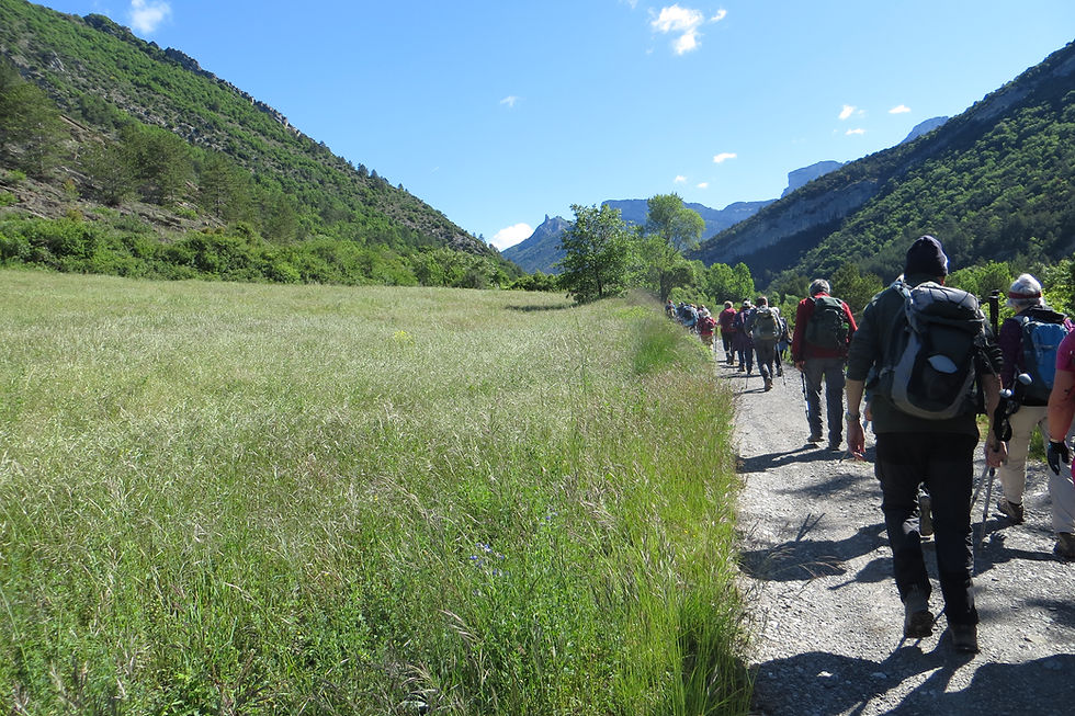 Villard 2