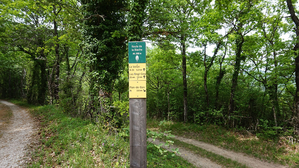 DSC08890