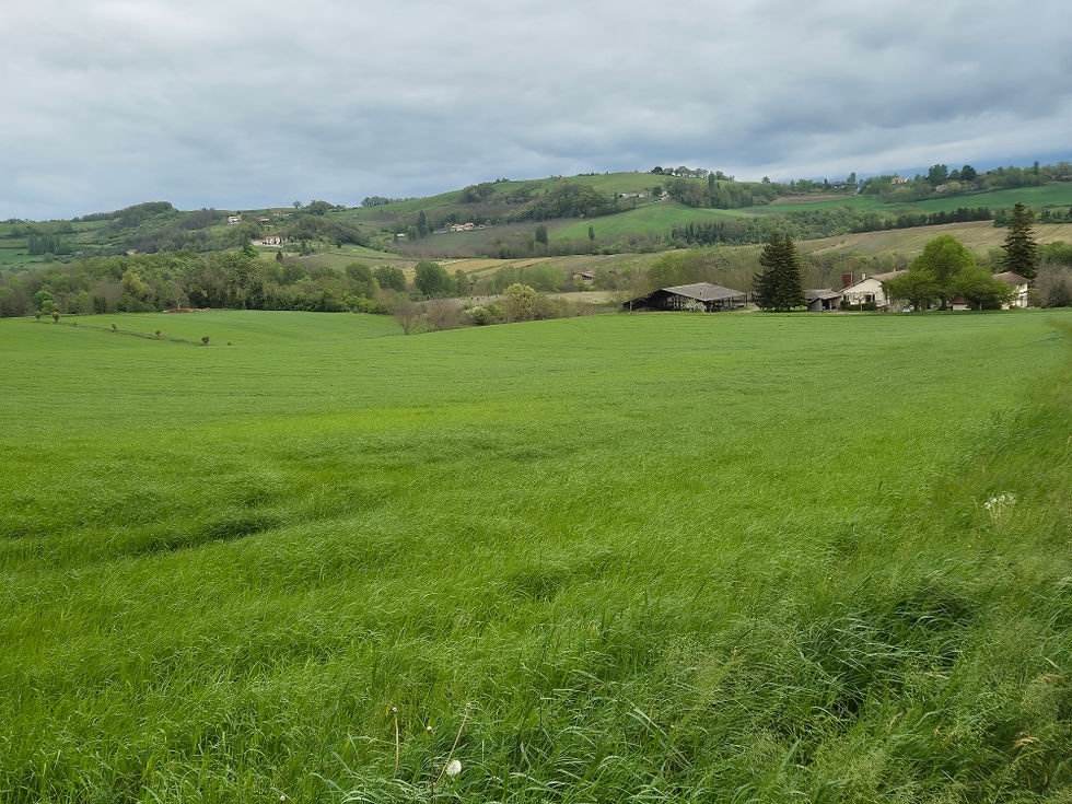 10 paysage vollonné