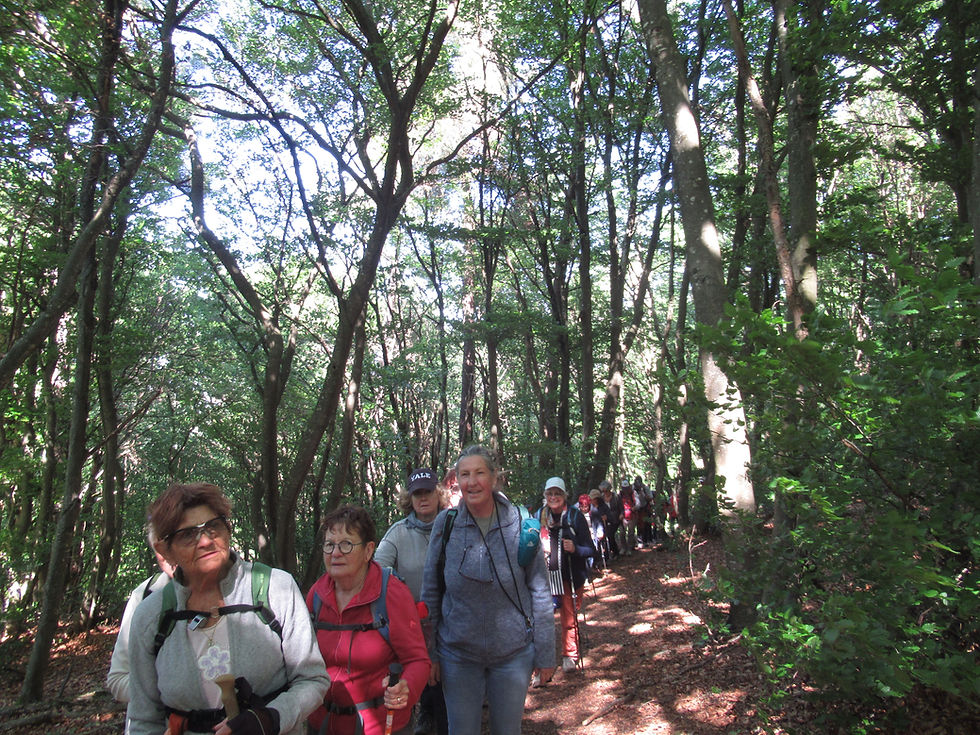 02 dans le bois