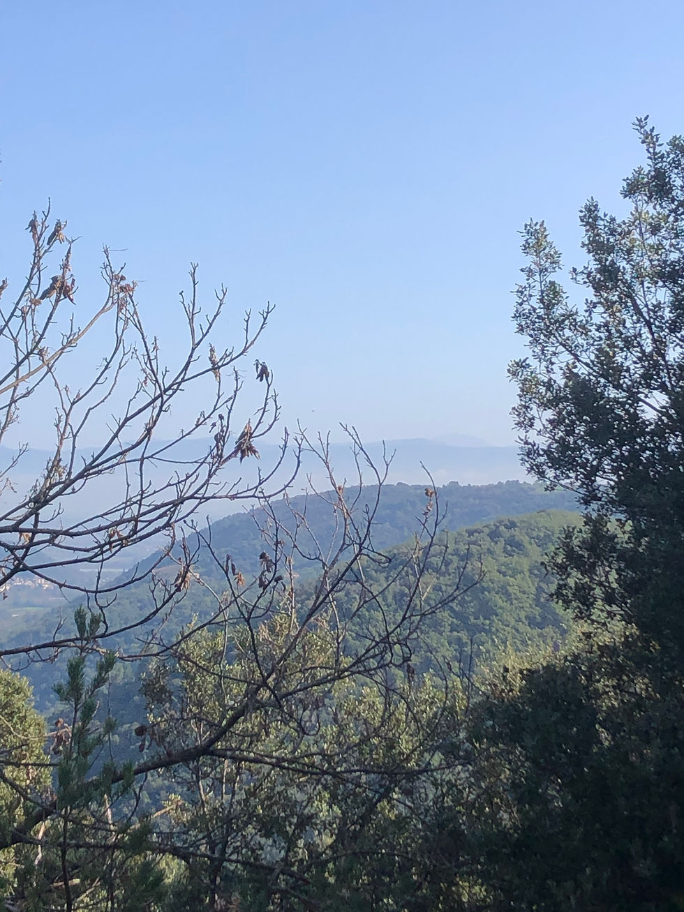 05 Très au loin le Veymont