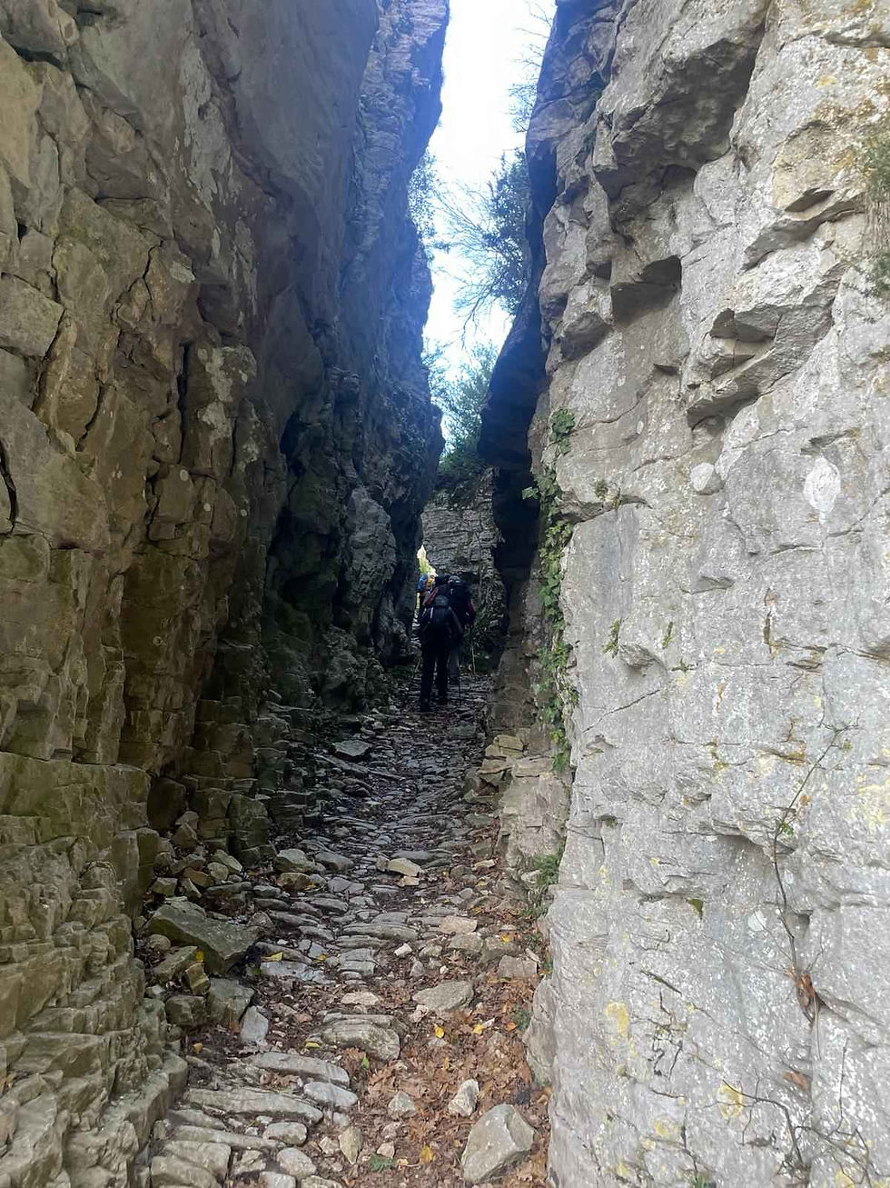 02PlandeBaix