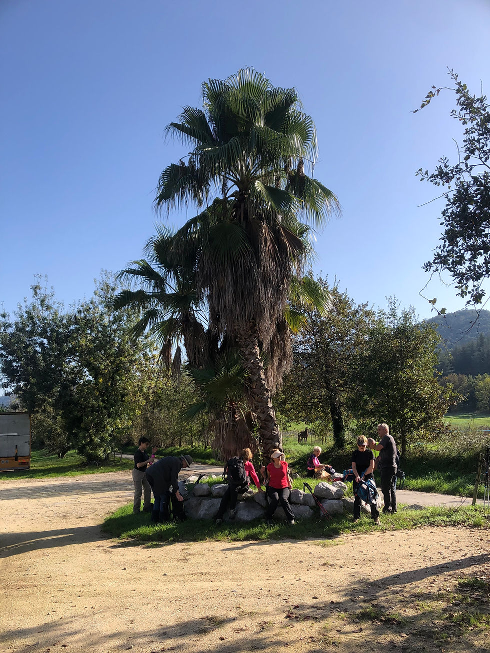 09 A table sous les palmiers