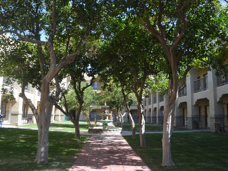 What are ADL's in Assisted Living