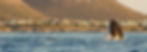 89064483_hermanus_3000x1000.jpg