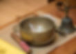 Retreat: Path to Happiness - Bodhicitta