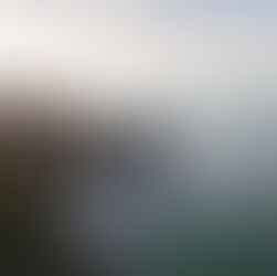 vista dall'alto sul castello Miramare e il mare a Trieste