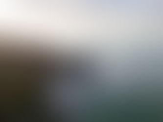 vista dall'alto sul castello Miramare e il mare a Trieste