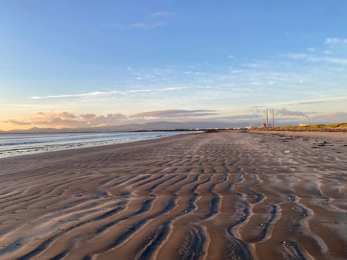 Bull Island.jpeg