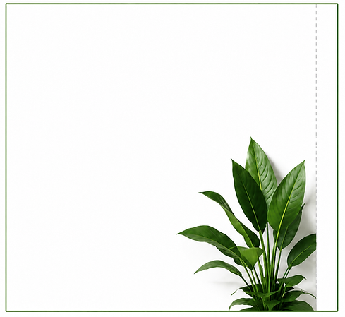 background image.PNG