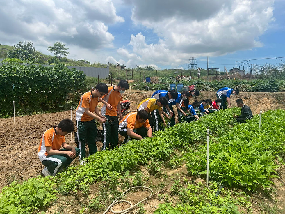 WhatsApp Image 2025-07-25 at 16.05_edited